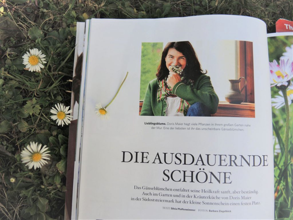 Gänseblümchen Servus Magazin2