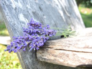 Lavendel Deko (72)