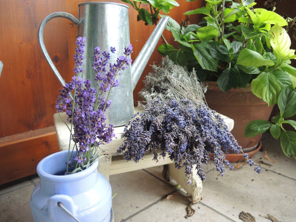 Lavendel (39)